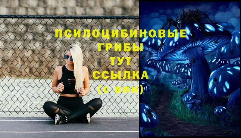 Галлюциногенные грибы мицелий  Уфа 